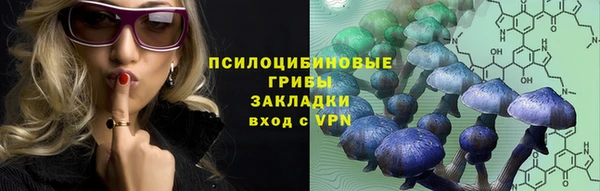 дурь Алексеевка