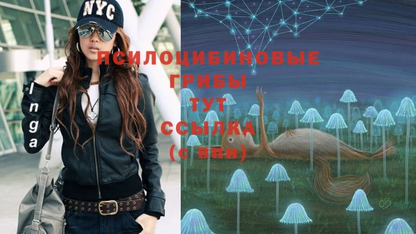 МДПВ Алзамай